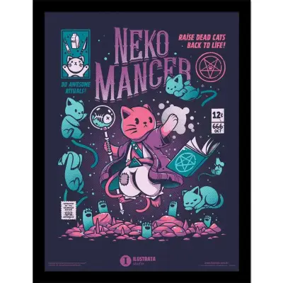 Figurine ilustrata nekomancer collector print